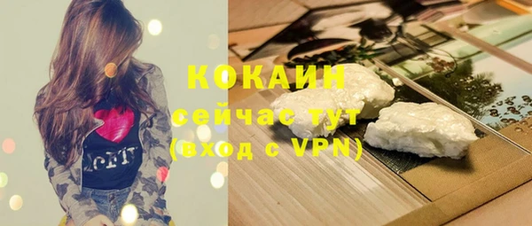 тгк Сатка