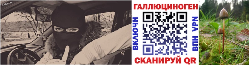 omg маркетплейс Россошь Галлюциногенные грибы GOLDEN TEACHER
