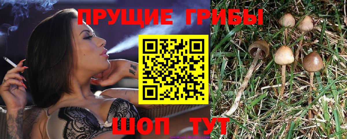 Галлюциногенные грибы Magic Shrooms Россошь